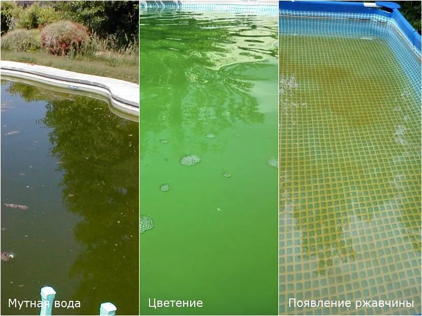 Naturalny proces rozwoju mikroorganizmów w wodzie prowadzi do zanieczyszczenia