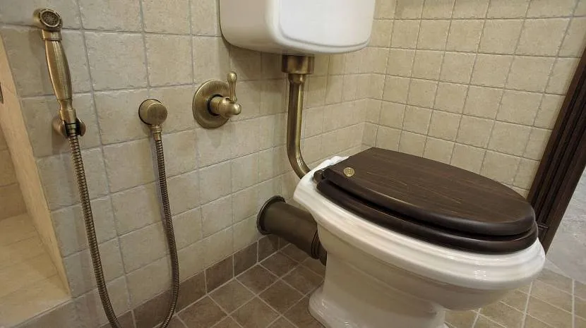 Варіант гігієнічного душу у туалеті