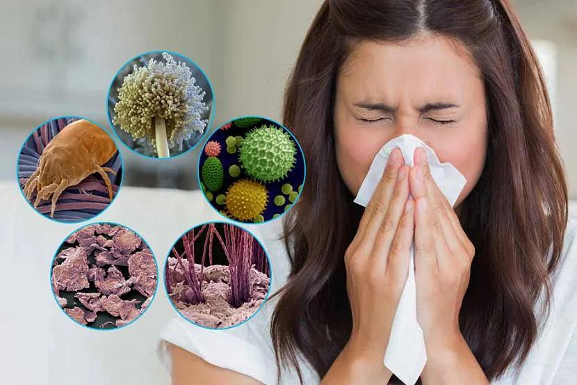 Suche powietrze jest przyczyną alergenów