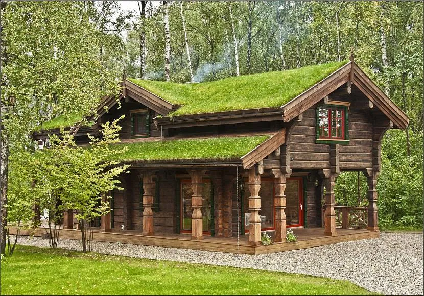Mały dom w stylu rosyjskim z zagospodarowaniem terenu na dachu, tarasem i strychem