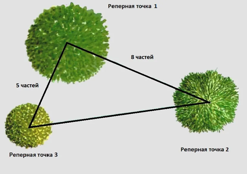 Ilustracja rozmieszczenia krzewów, zgodnie z zasadami złotej sekcji