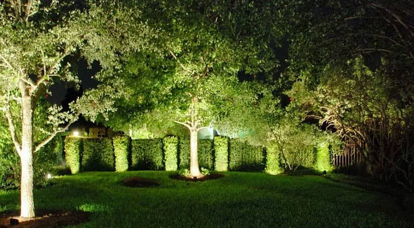 Oświetlenie drzew ogrodowych