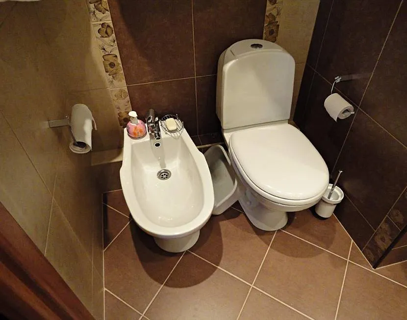 Bidet przy toalecie w małej toalecie