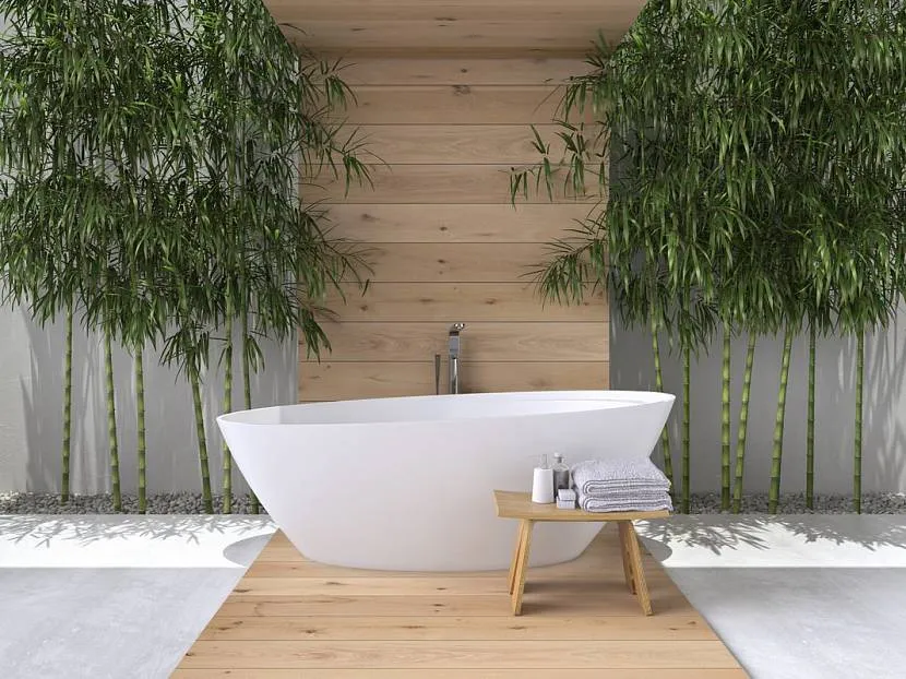 Оформлення ванної живим бамбуком