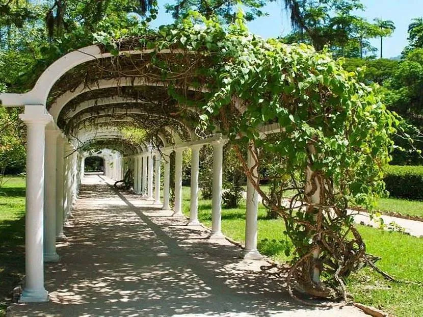 Pergola w formie tunelu