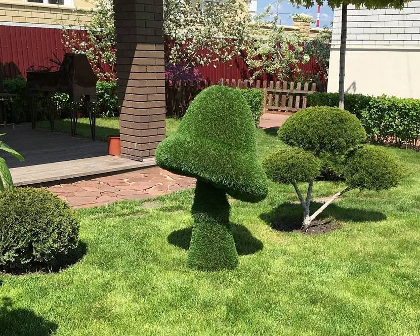 Topiary figura w kształcie grzyba przy altanie na prywatnym dziedzińcu