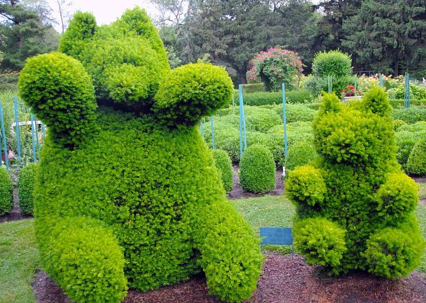 Figury topiary ekspresowe na gotowej ramie