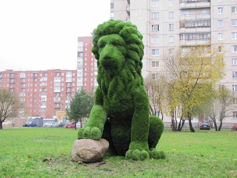 Topiary figura w postaci lwa na dziedzińcu wielopiętrowego budynku