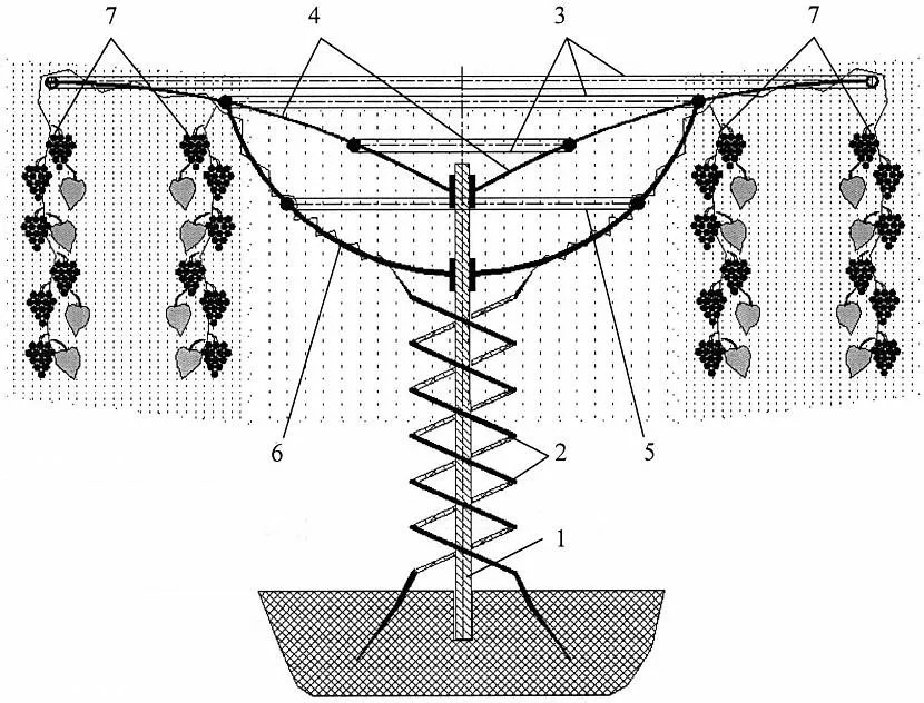 Rysunek wsparcia T