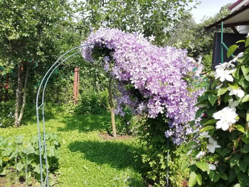 Wariant łuku ozdobnego z kwiatami