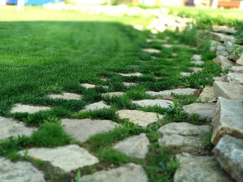 Ścieżki ogrodowe z kamienia naturalnego na trawiastym terenie