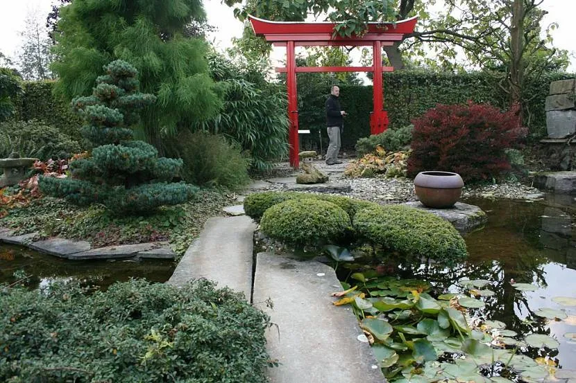 Сад у китайському стилі