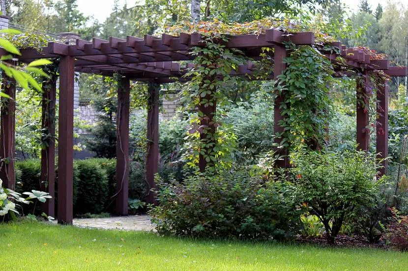 Pergola