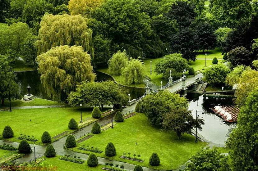 Англійський сад з висоти пташиного польоту