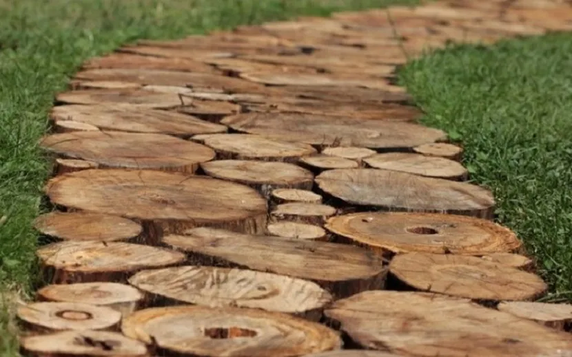Ścieżka wykonana z drewna