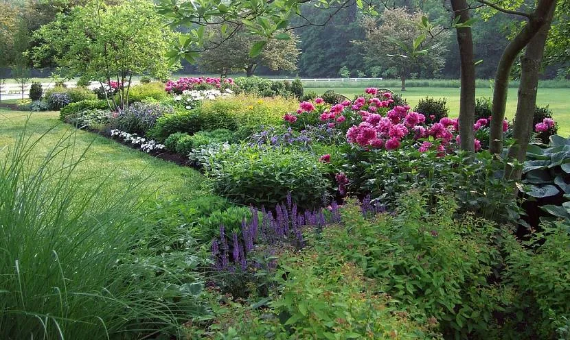 Duży ogród kwiatowy z piwoniami