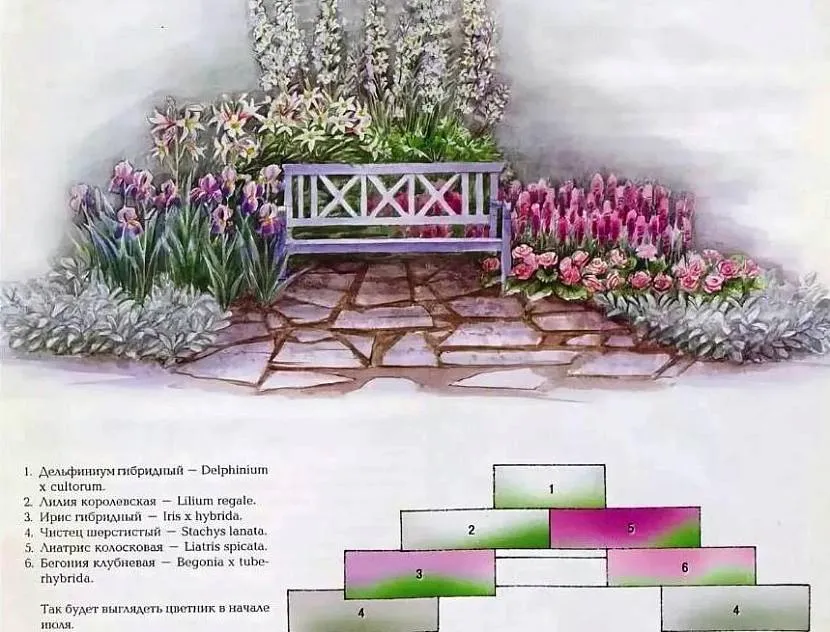 Схема розміщення рослин для міксбордеру