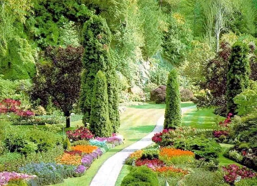 Piękna ścieżka do ogrodu