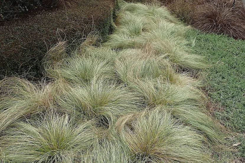 Заповнення ділянки