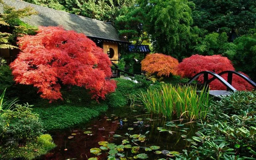 Японський сад