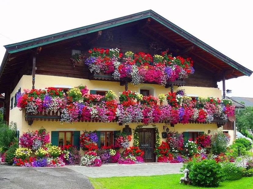 Фасад будівлі, прикрашеної квітучими рослинами у контейнерах