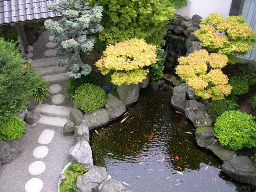 Краса японського саду