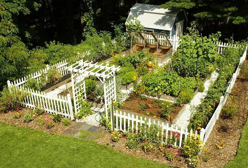 Ogród z pięknymi klombami i ogrodzeniem