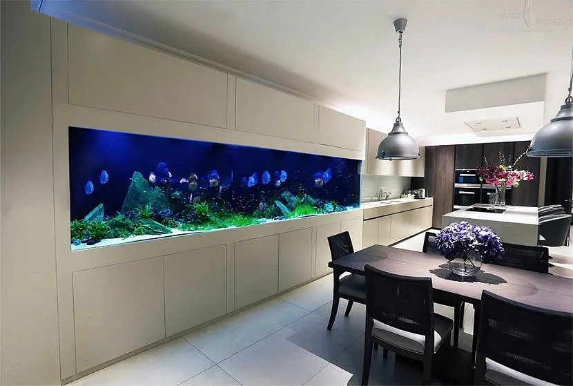 Вбудований акваріум на кухні