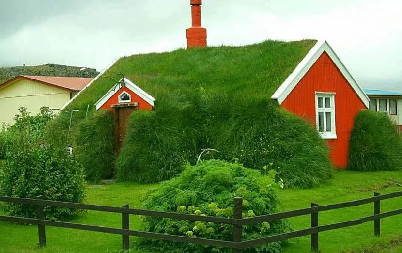 Trawnik na spadzistym dachu