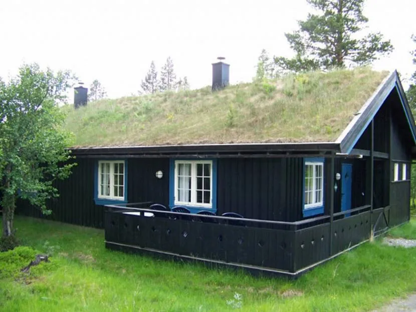 Dom ze szmaragdowym trawnikiem na dachu